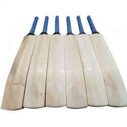 Cricket Bats